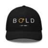 Bold Cap [ NOT FOUND ] | Apparelly -BLANK-