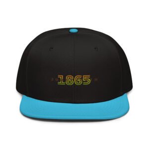 -BLNK- "Juneteenth 1865" Snapback Hat Apparelly Blank streetwear product